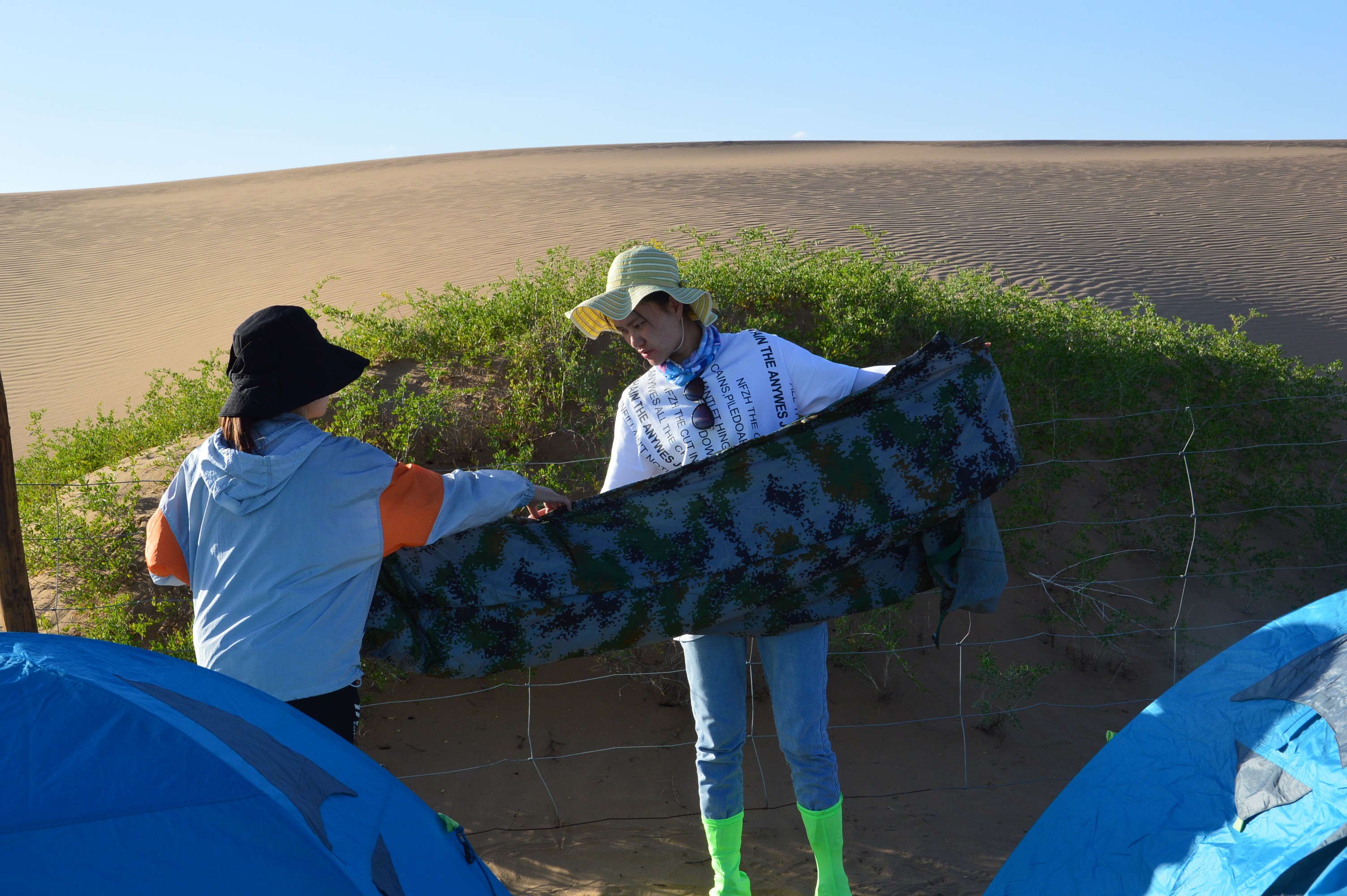 1627985065735395.jpg DSC_0730.jpg